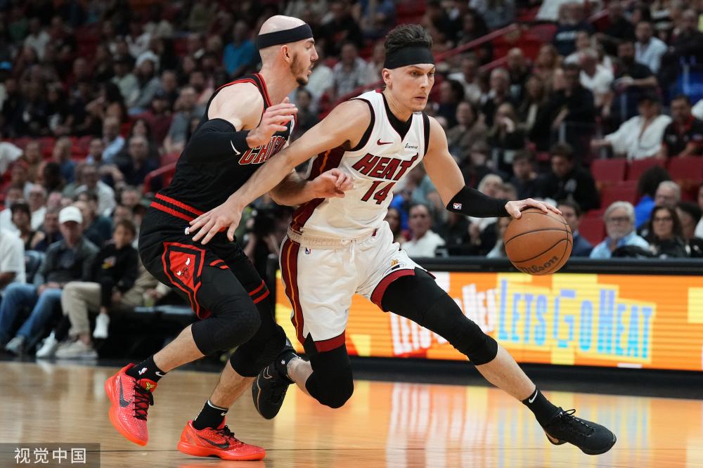 皇家社会的 皇家社会的